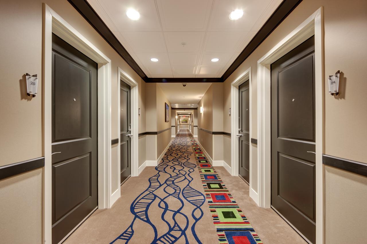 Cypress Bayou Casino Hotel Franklin Exterior foto